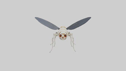 Fly Skeleton model 3D model