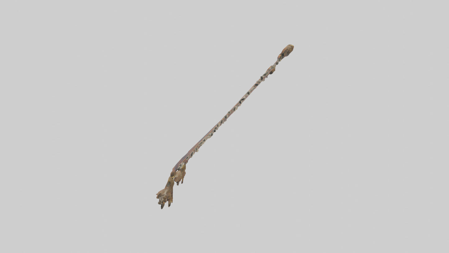 3D model Flying Carpet model VR / AR / low-poly