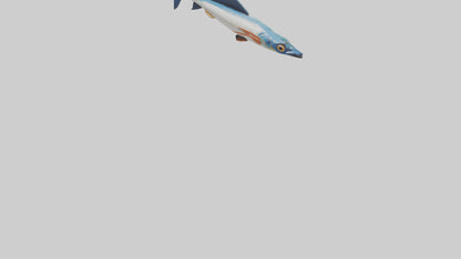 Flying Fish escaping model 3D model