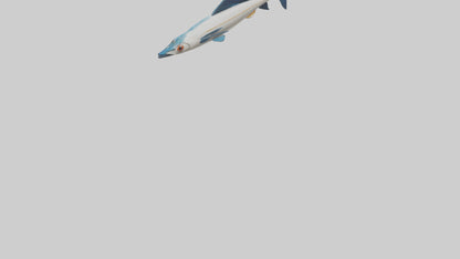 Flying Fish escaping model 3D model