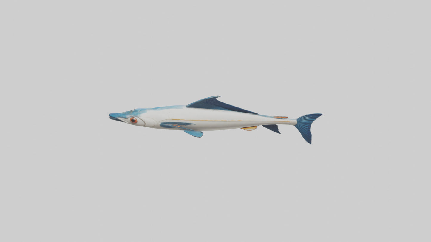 Flying Fish escaping model 3D model
