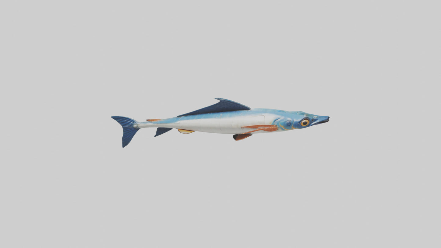 Flying Fish escaping model 3D model