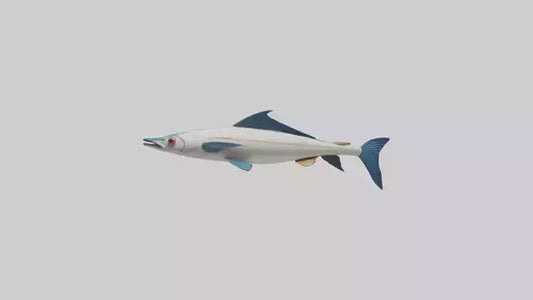 Flying Fish escaping model 3D model