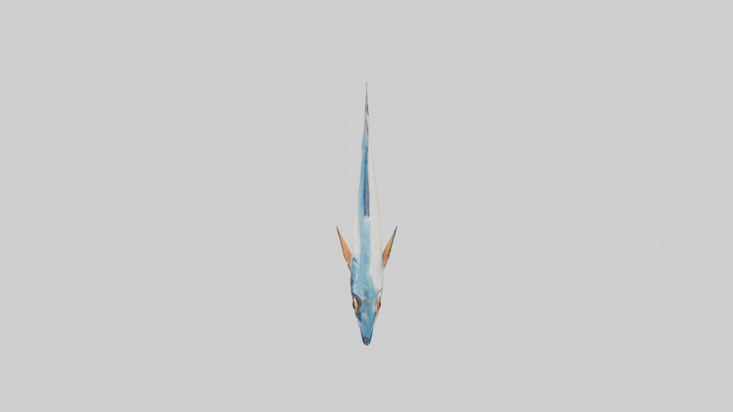 Flying Fish escaping model 3D model