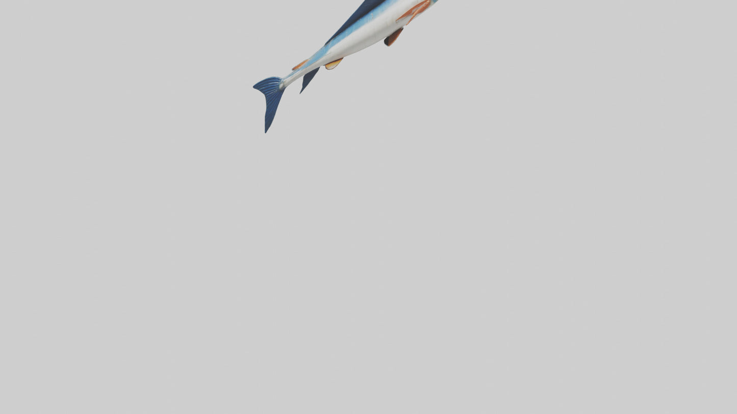 Flying Fish escaping model 3D model