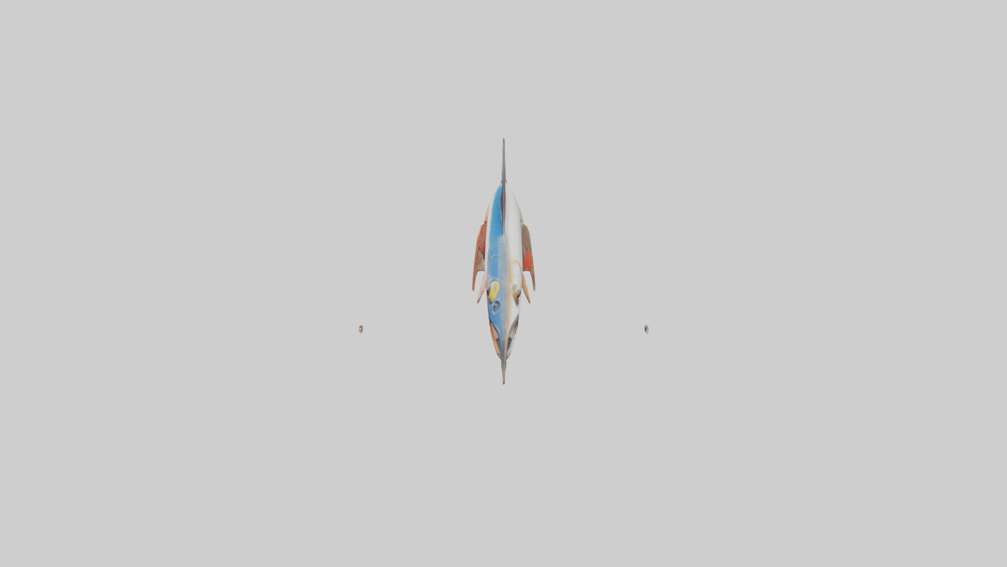 Flying Fish leaping model 3D model