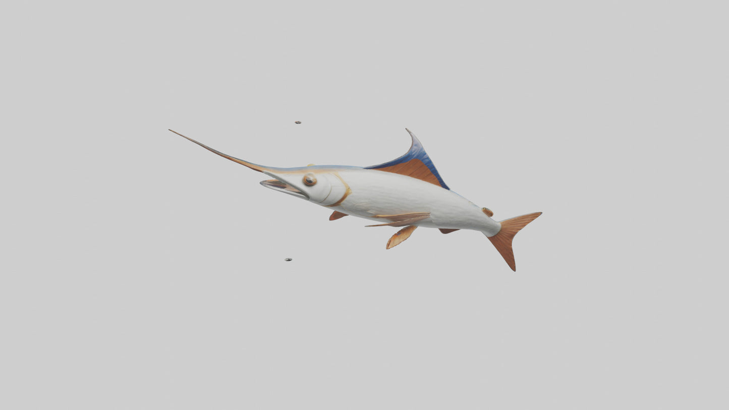 Flying Fish leaping model 3D model
