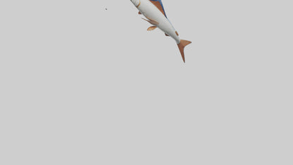 Flying Fish leaping model 3D model