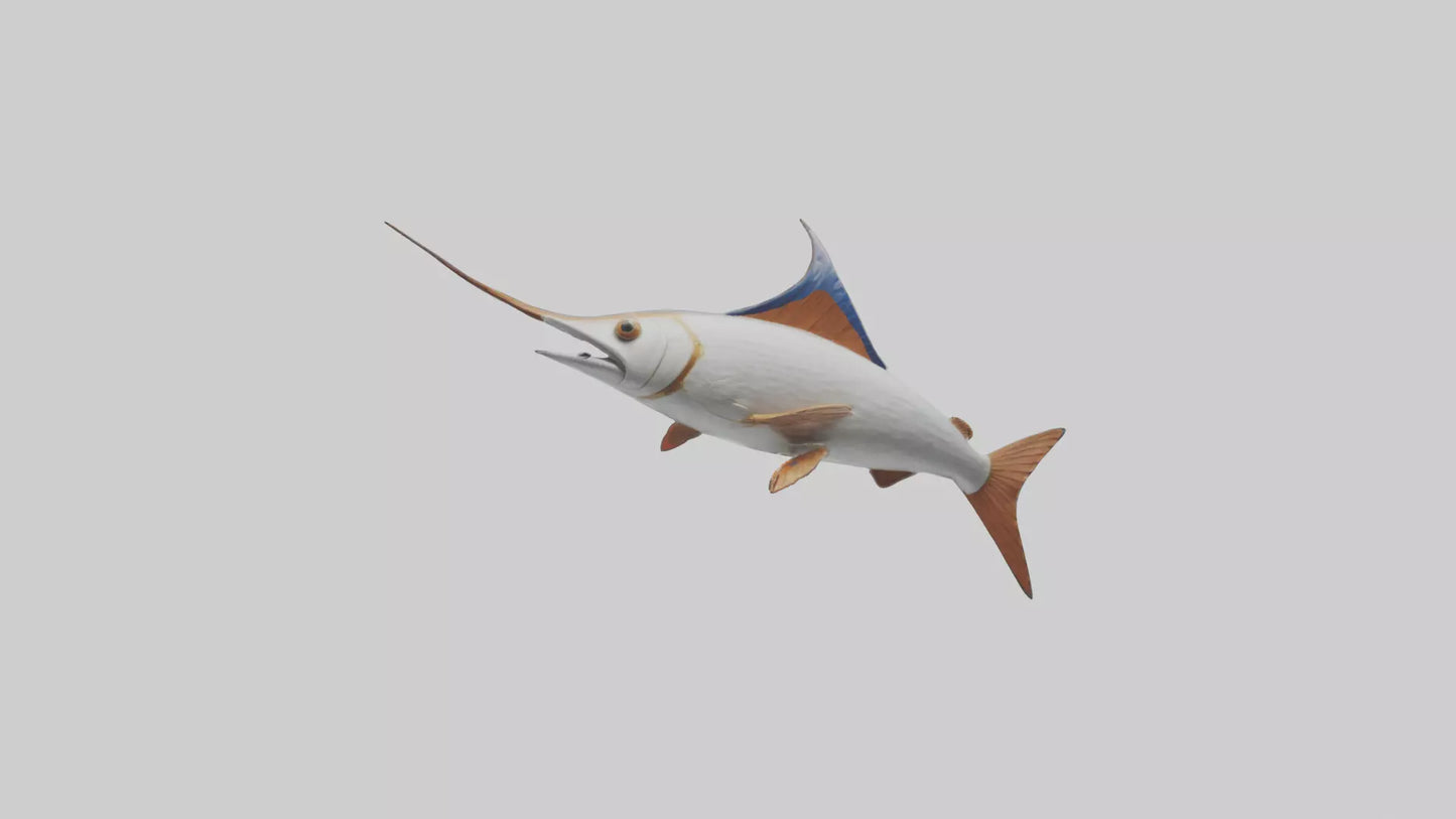 Flying Fish leaping model 3D model