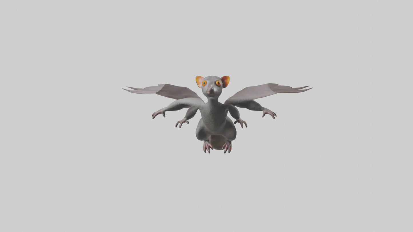 Flying Lemur gliding model VR / AR / low-poly