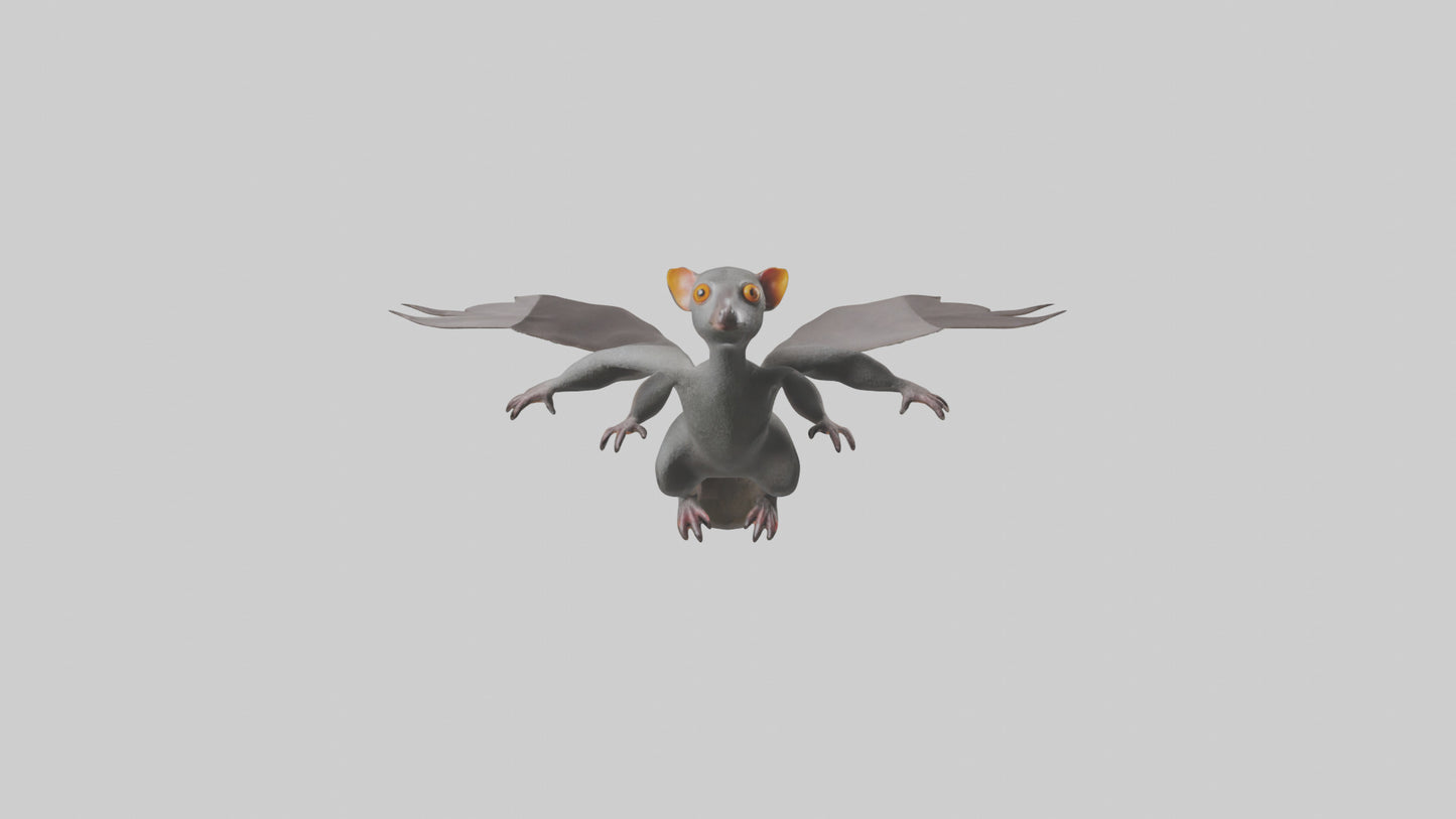 Flying Lemur gliding model VR / AR / low-poly
