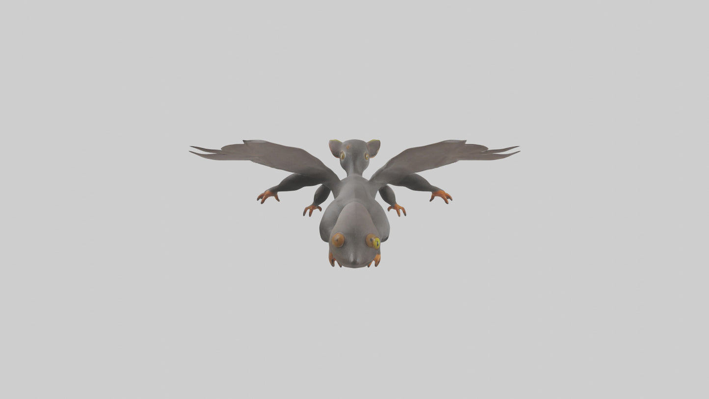 Flying Lemur gliding model VR / AR / low-poly