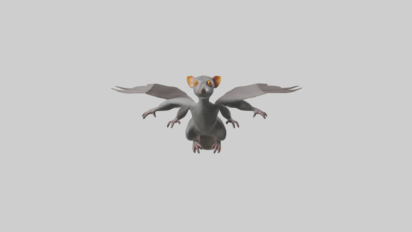 Flying Lemur gliding model VR / AR / low-poly