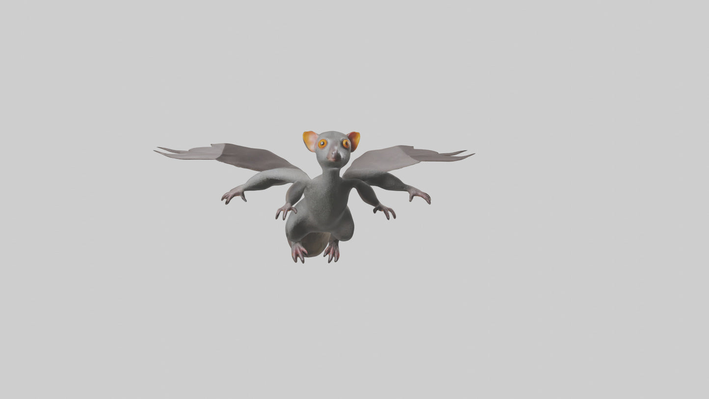 Flying Lemur gliding model VR / AR / low-poly