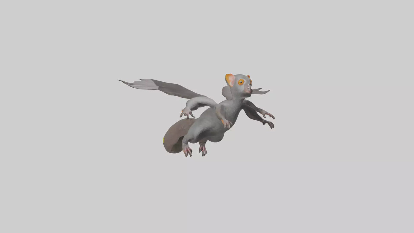 Flying Lemur gliding model VR / AR / low-poly