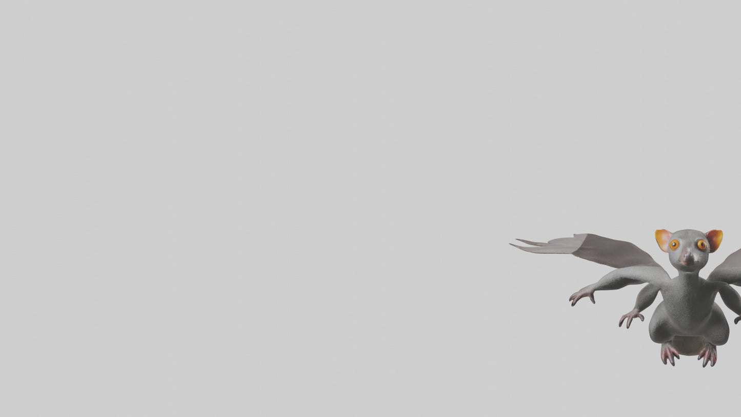 Flying Lemur gliding model VR / AR / low-poly