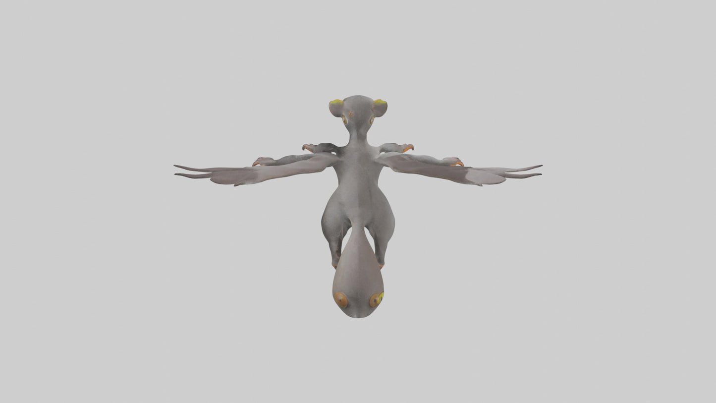 Flying Lemur gliding model VR / AR / low-poly