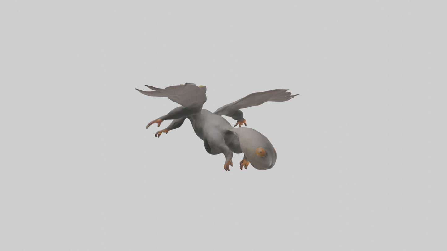 Flying Lemur gliding model VR / AR / low-poly
