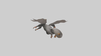 Flying Lemur gliding model VR / AR / low-poly