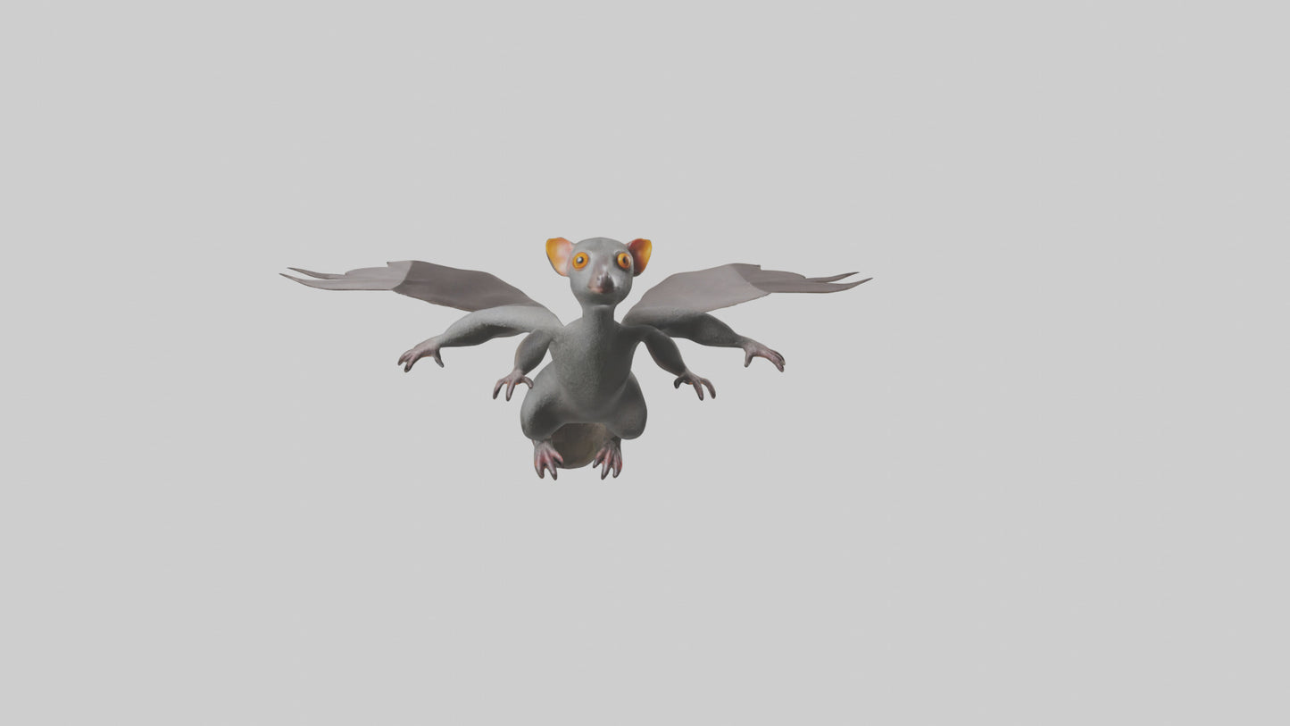 Flying Lemur gliding model VR / AR / low-poly