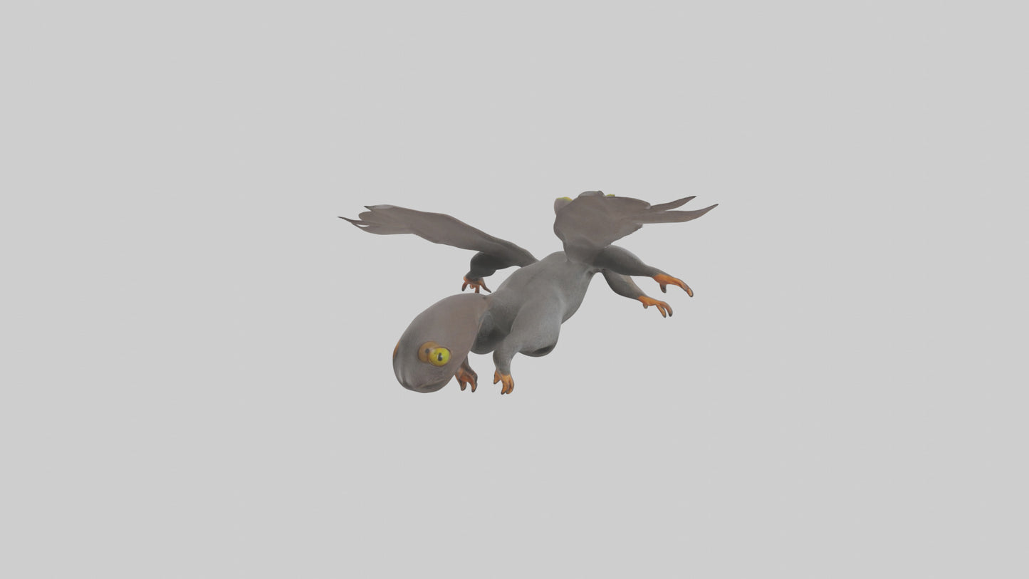 Flying Lemur gliding model VR / AR / low-poly