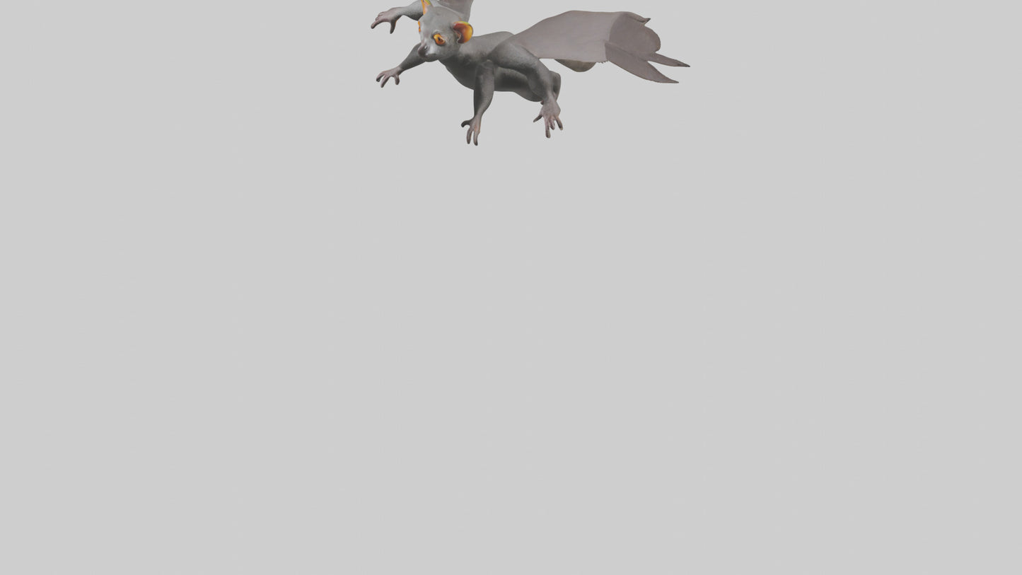 Flying Lemur gliding model VR / AR / low-poly