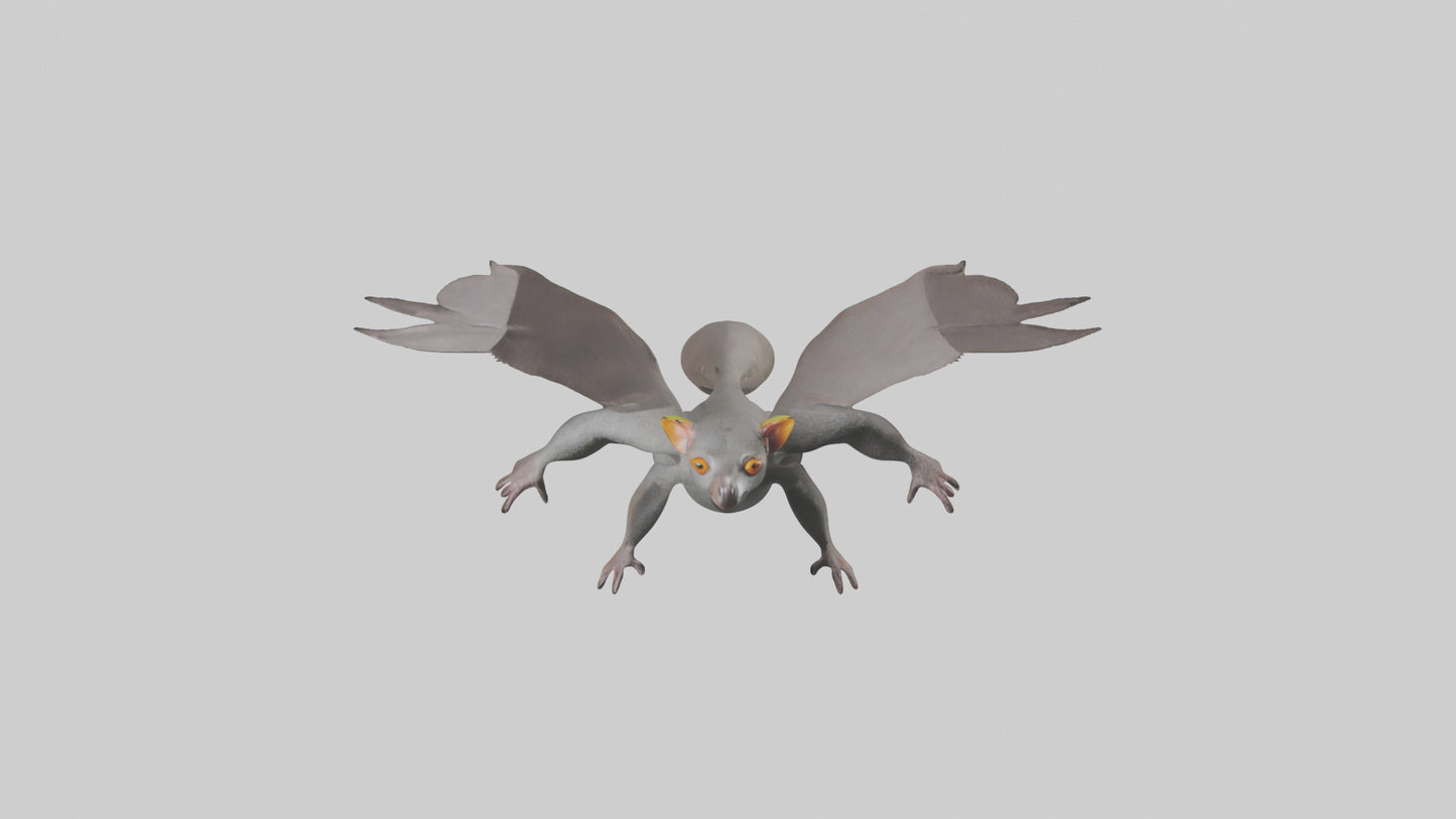 Flying Lemur gliding model VR / AR / low-poly