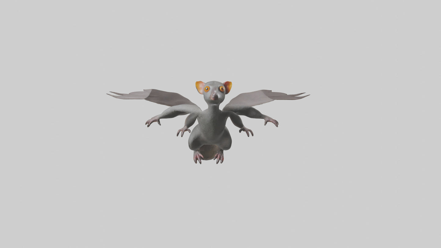 Flying Lemur gliding model VR / AR / low-poly