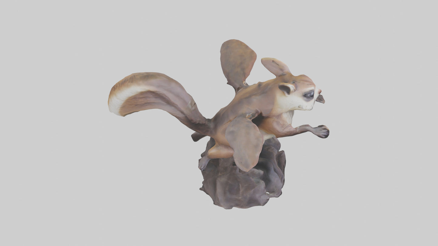 Flying Squirrel statue model 3D model