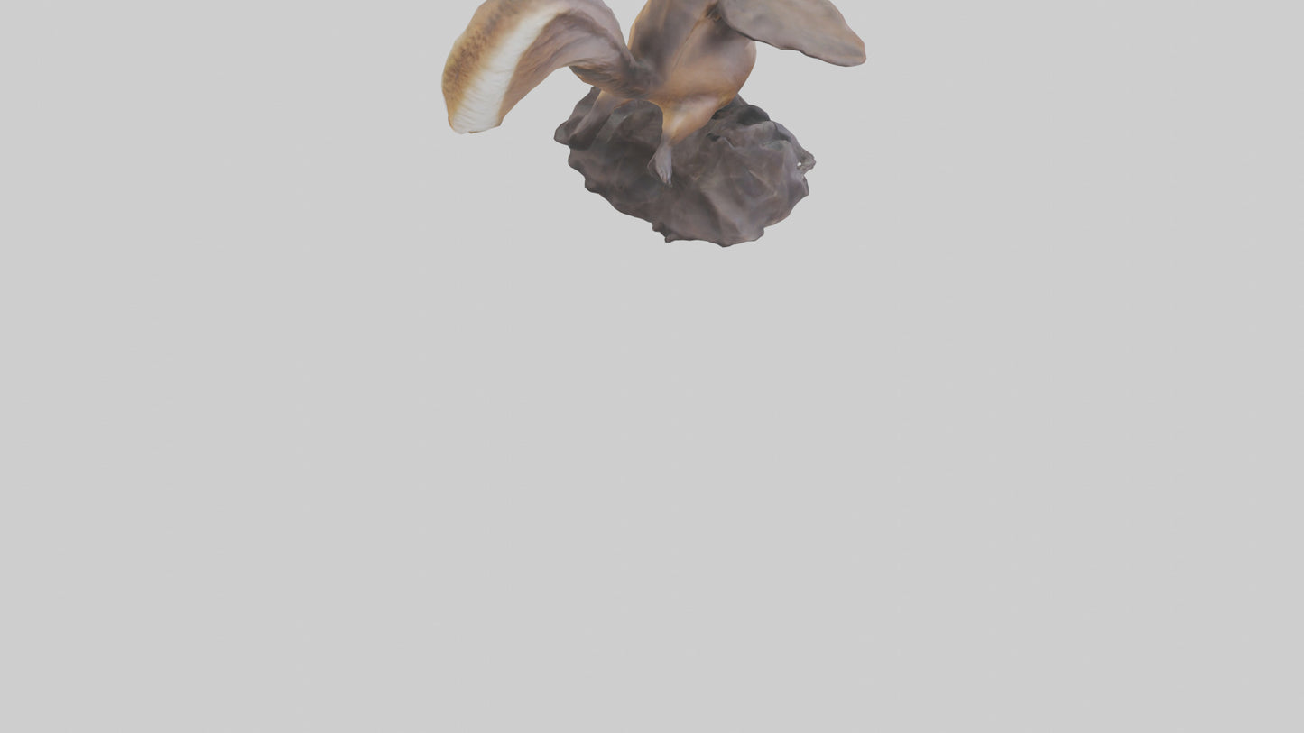 Flying Squirrel statue model 3D model