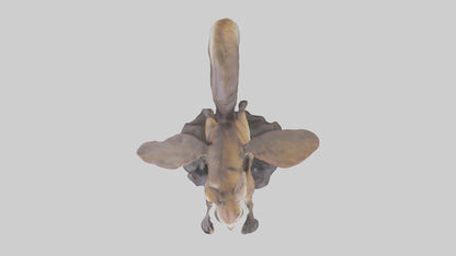 Flying Squirrel statue model 3D model