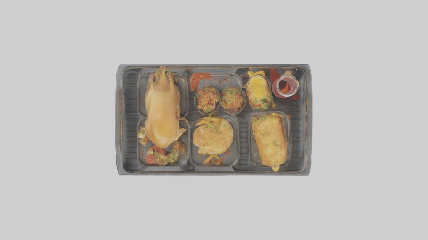 Food Tray model 3D model