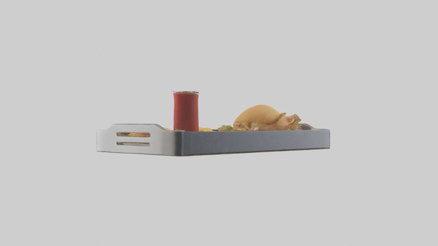 Food Tray model 3D model