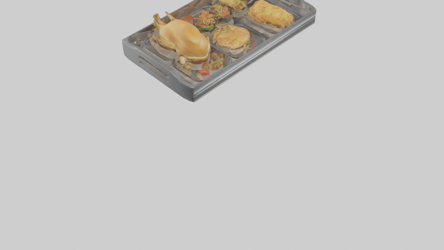 Food Tray model 3D model