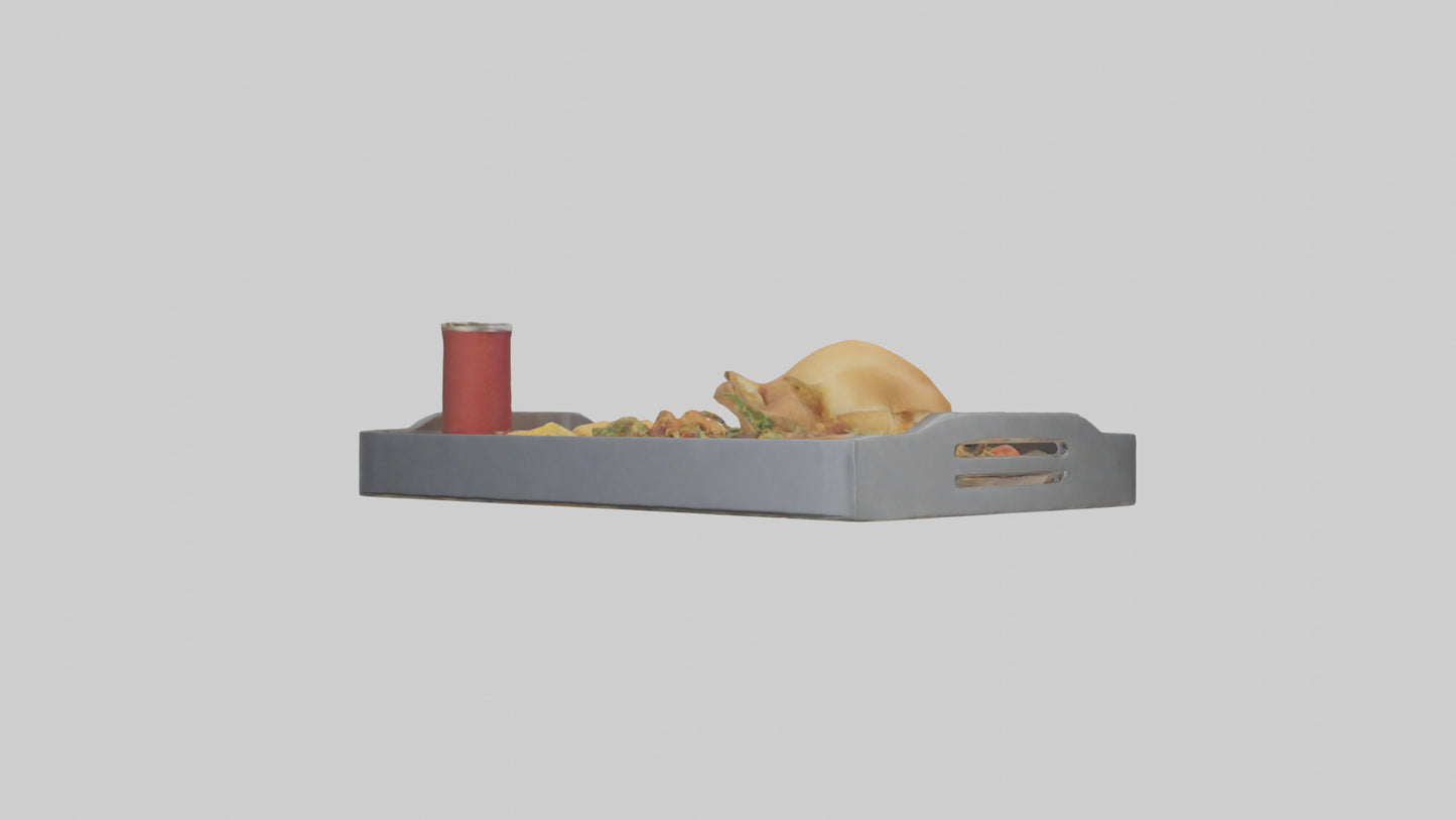 Food Tray model 3D model