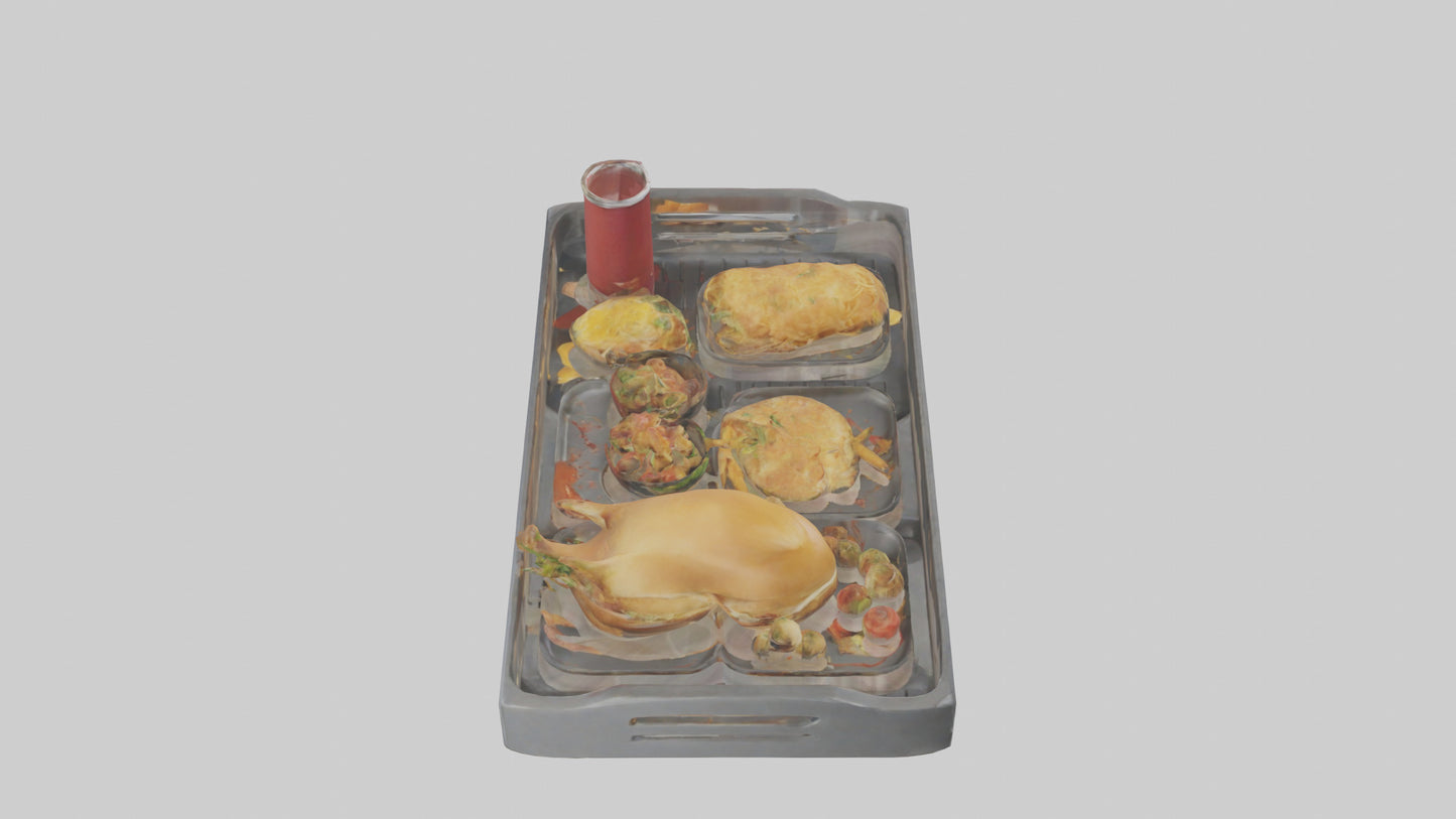 Food Tray model 3D model