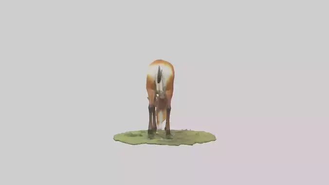 Forest Antelope grazing model 3D model