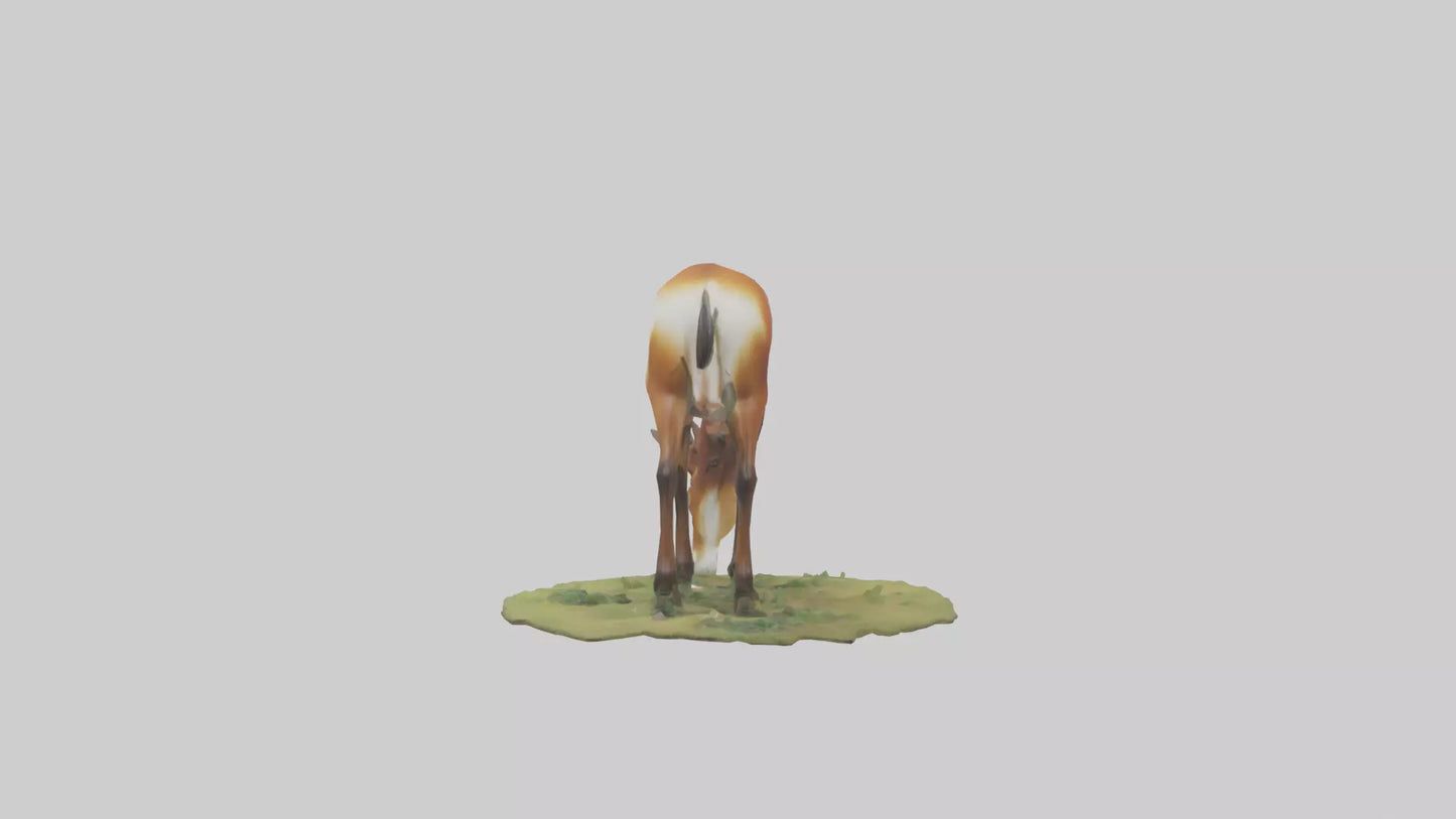 Forest Antelope grazing model 3D model
