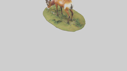 Forest Antelope grazing model 3D model