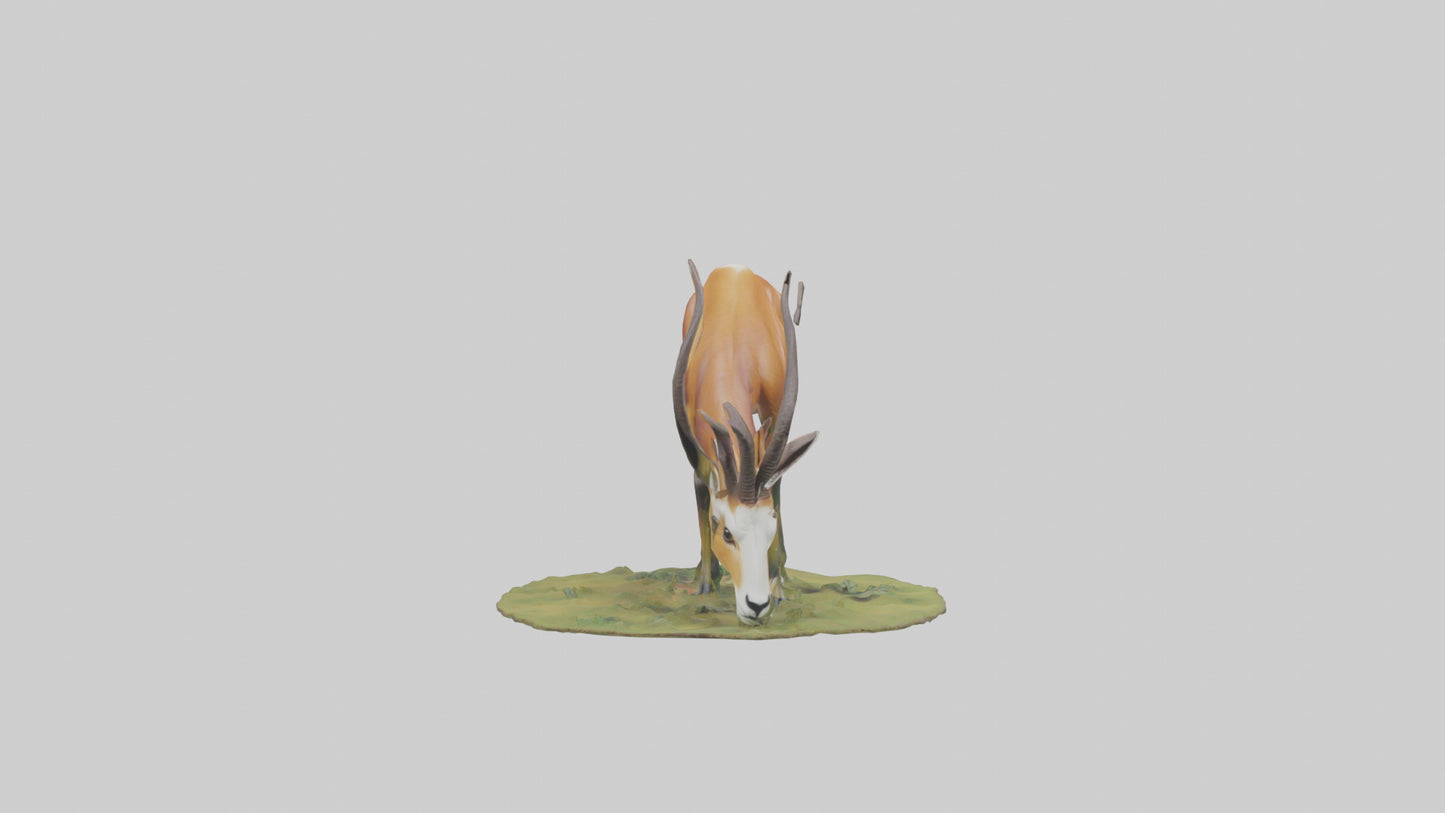 Forest Antelope grazing model 3D model