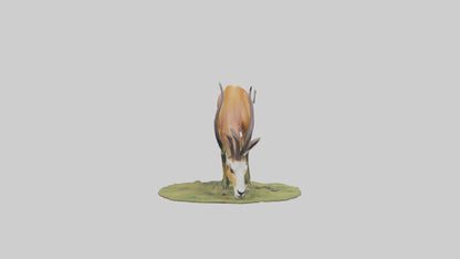 Forest Antelope grazing model 3D model