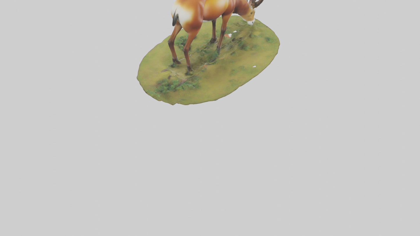 Forest Antelope grazing model 3D model