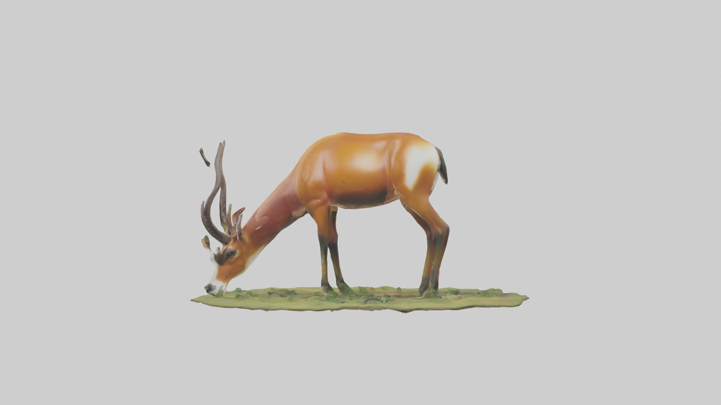 Forest Antelope grazing model 3D model