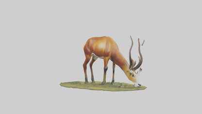 Forest Antelope grazing model 3D model