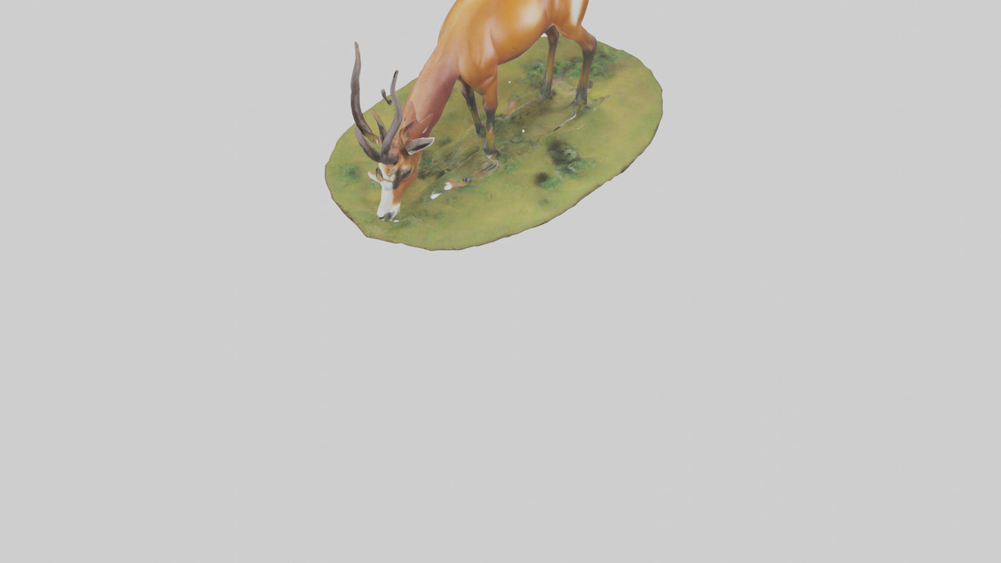 Forest Antelope grazing model 3D model
