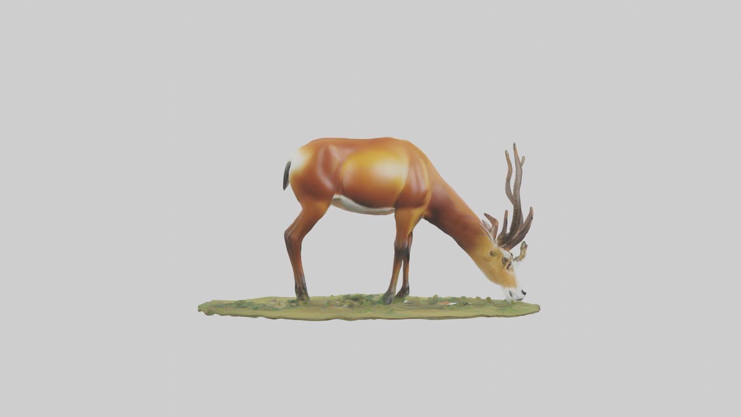 Forest Antelope grazing model 3D model