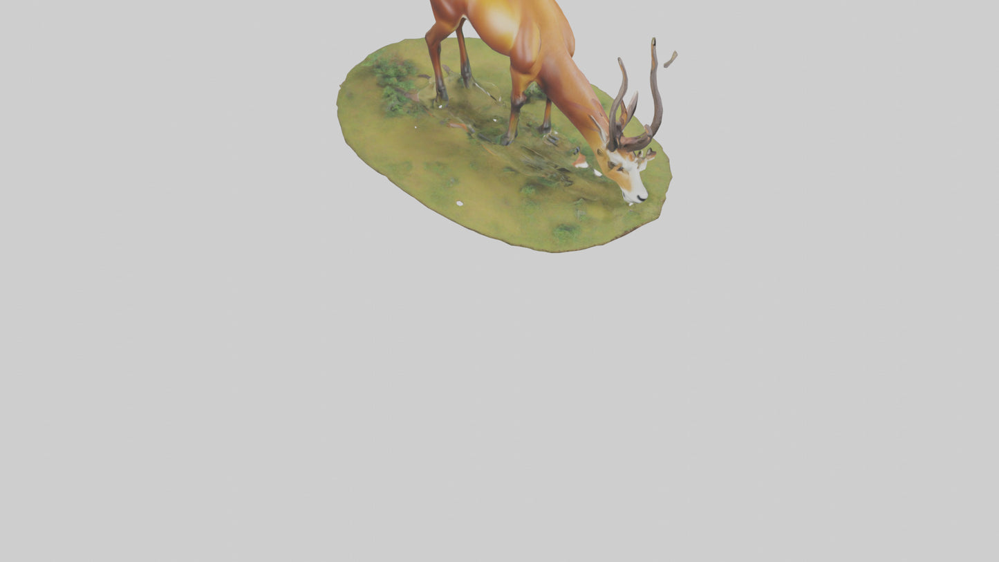 Forest Antelope grazing model 3D model