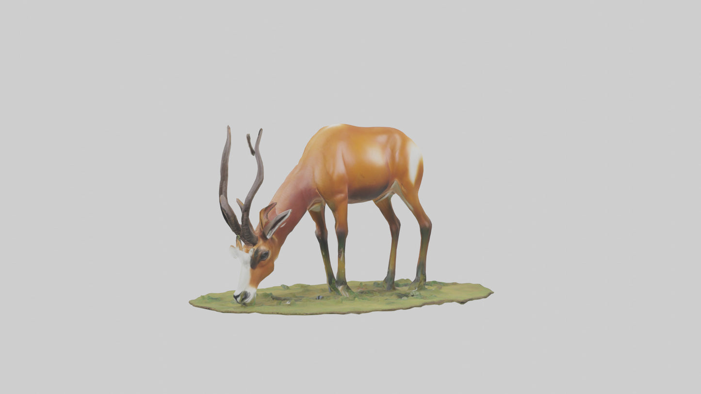 Forest Antelope grazing model 3D model