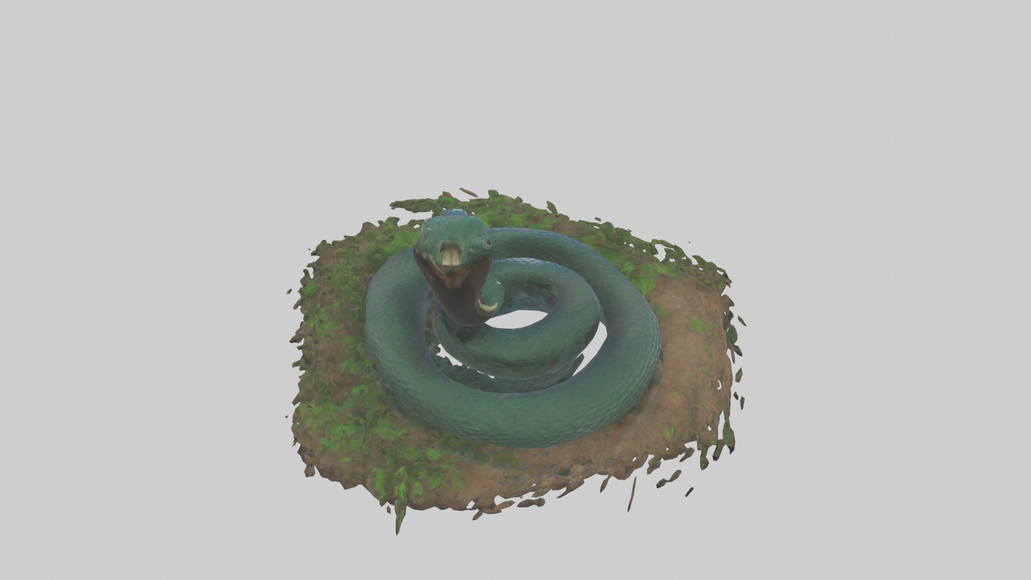 Forest Cobra hiding model 3D model