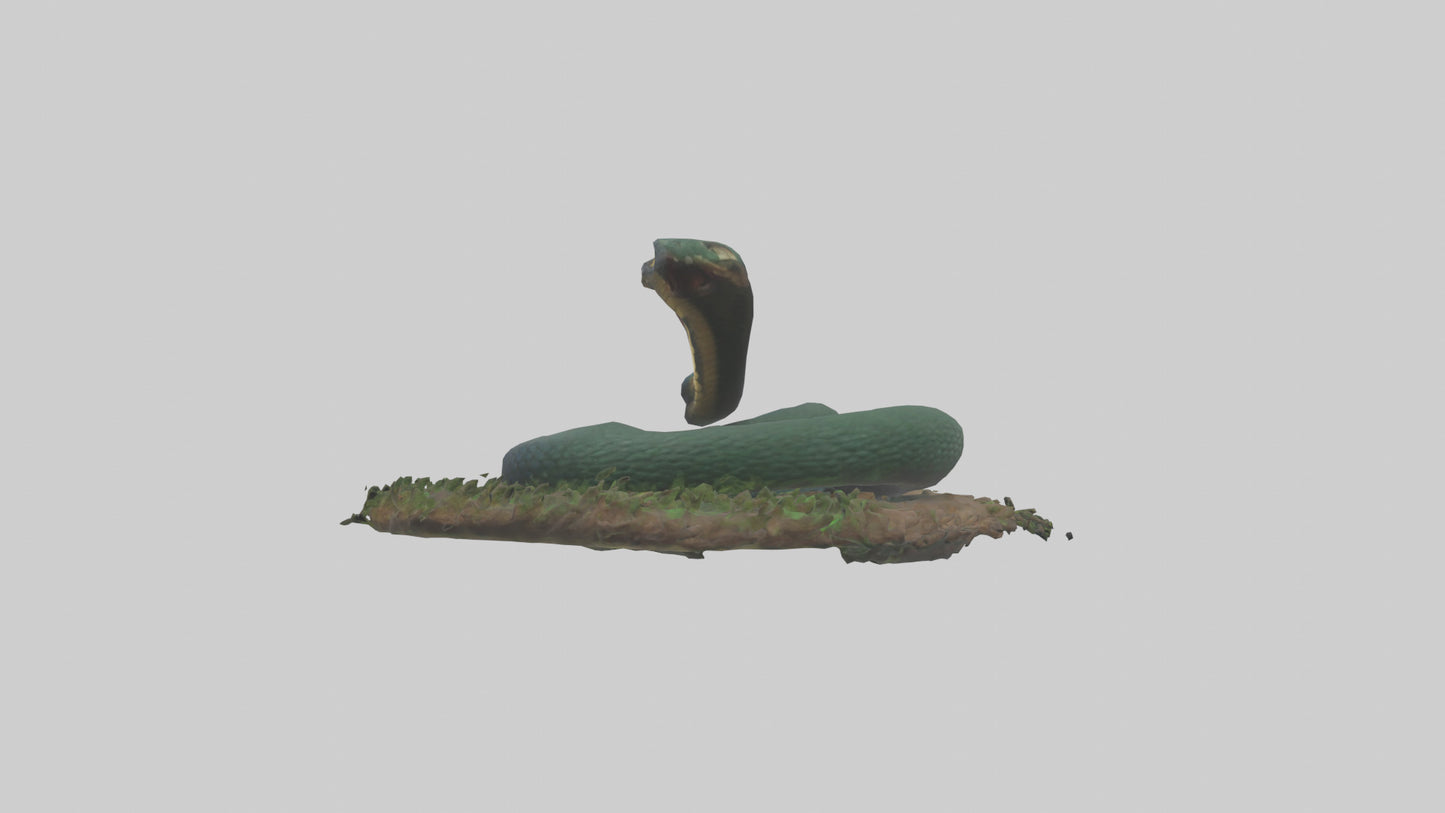 Forest Cobra hiding model 3D model